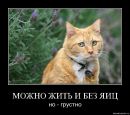 Фотография Ovchinnikova Olegovna