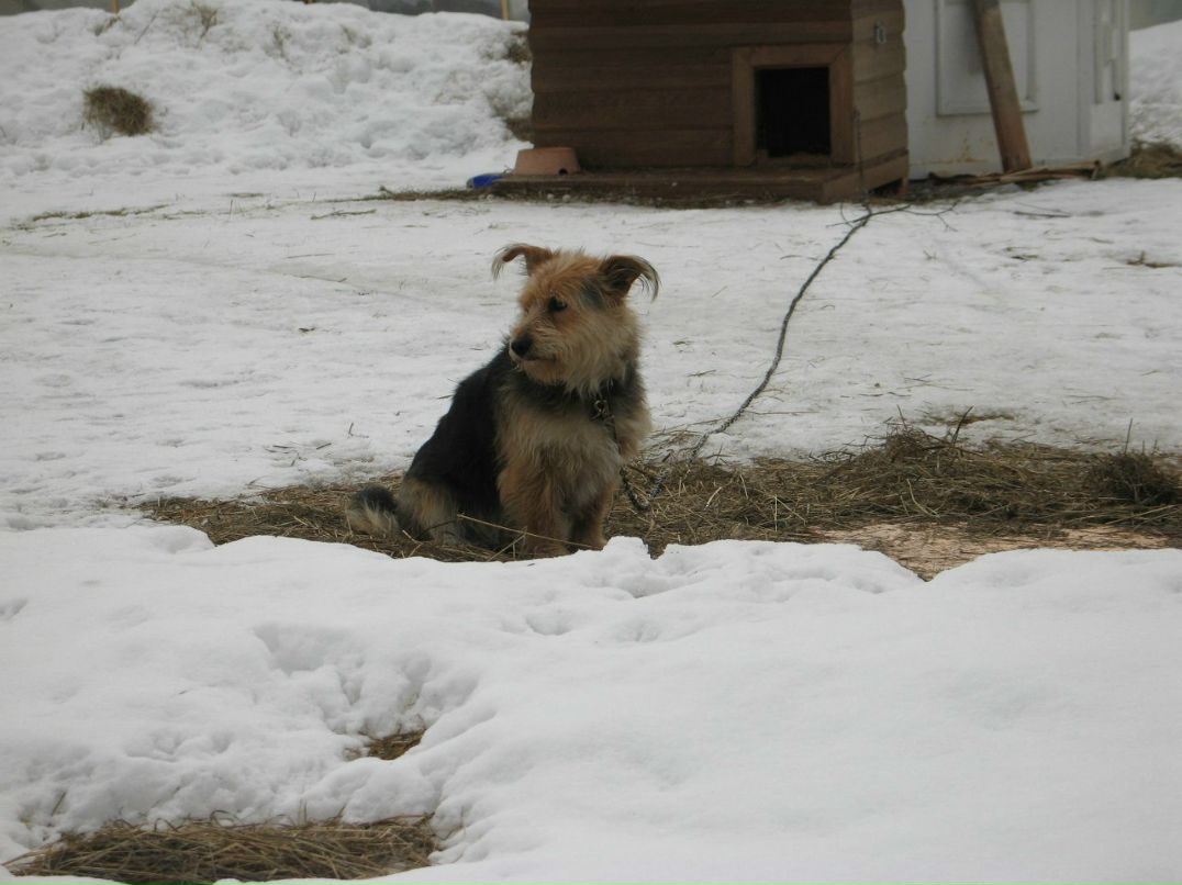 Катя Шапиро | Москва