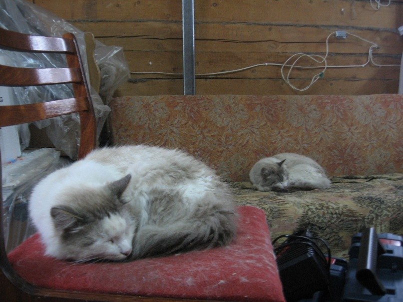 Anna Shumkova | Ижевск