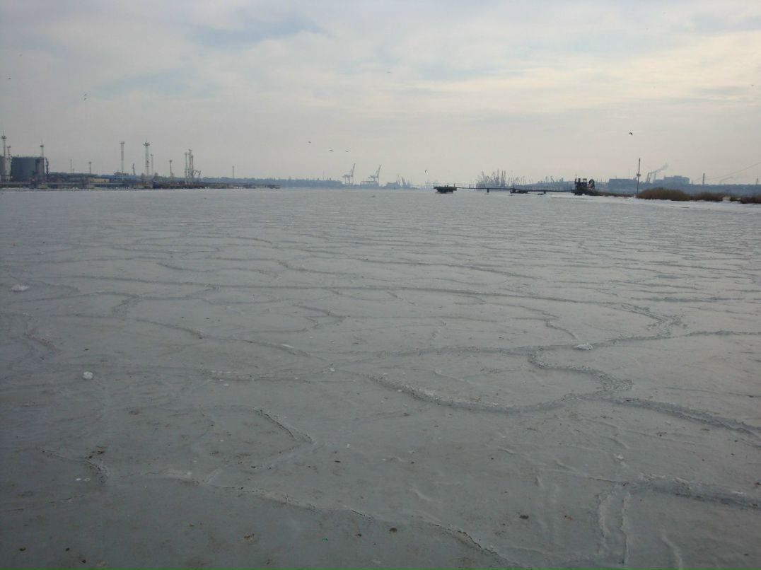 Светлана Сугак | Одесса