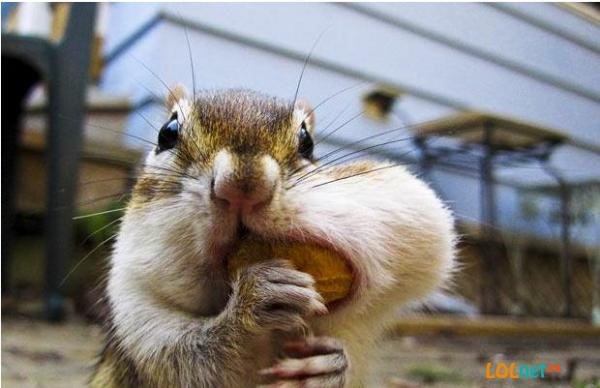 Катя Спицына | Санкт-Петербург