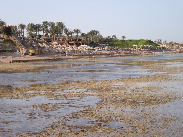 №14, Вероника Палова, Санкт-Петербург №14, Вероника Палова, Санкт-Петербург