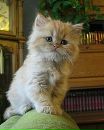 Фотография Татьяна Мичкова