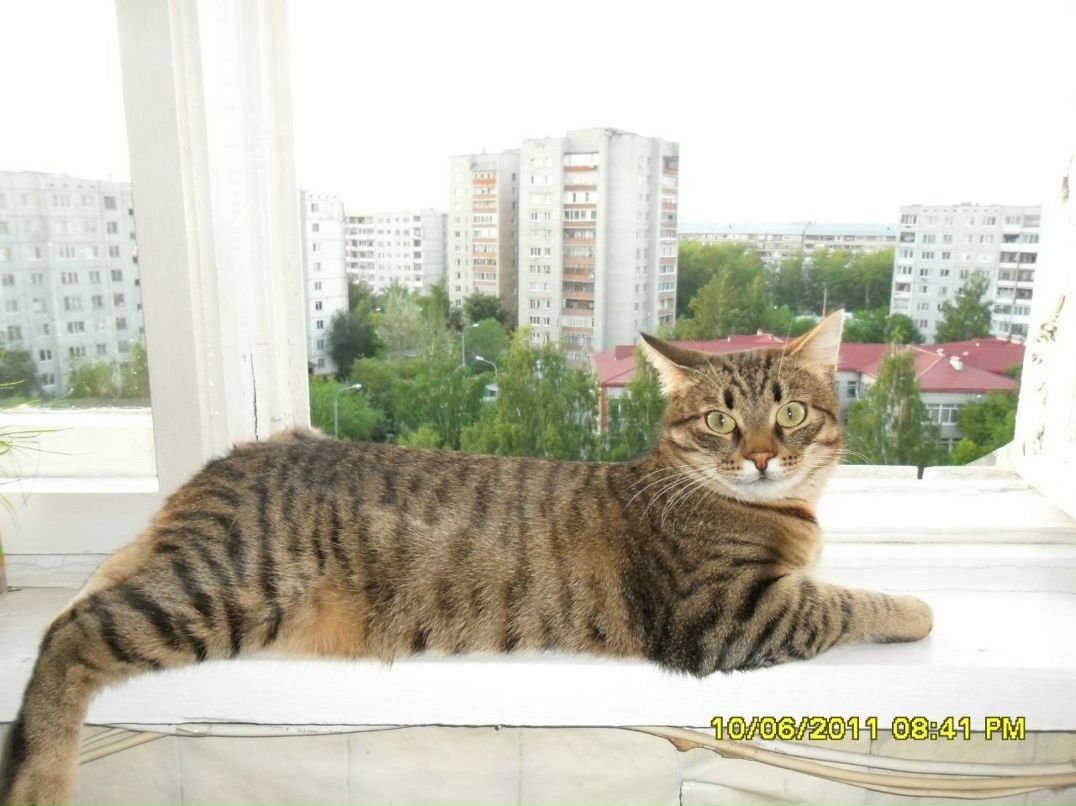 Лариса Амирова | Тюмень