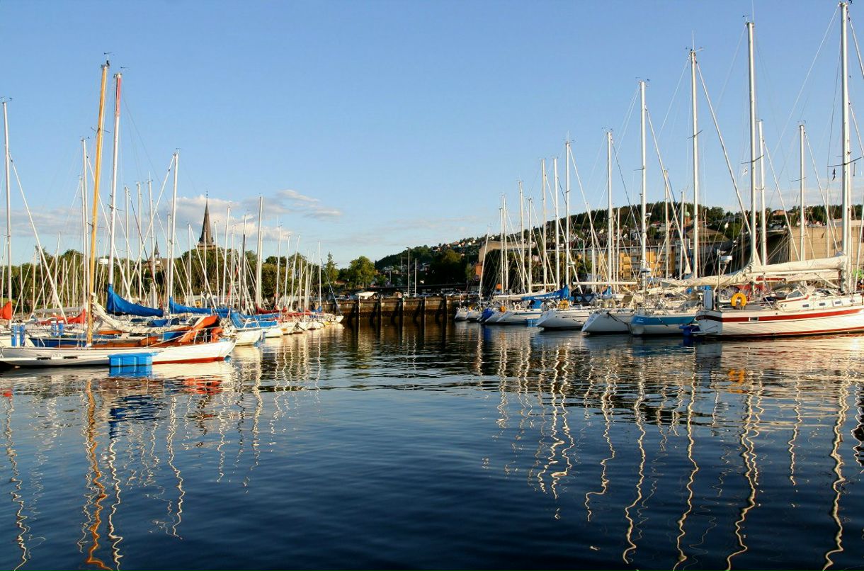 Irina Kazachek Johansson | Stockholm