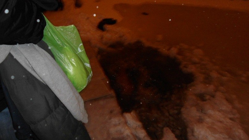 Ярик Яновский | Минск