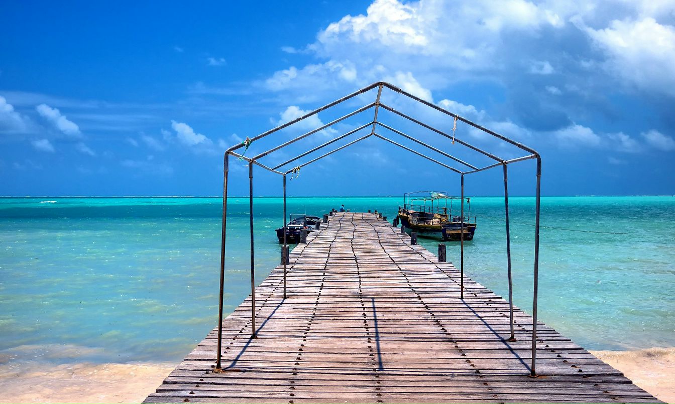 Елена Просветова | Белгород