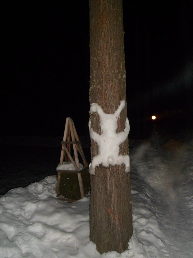 Алексей Рогачь | Новосибирск