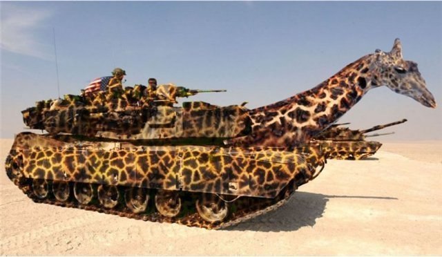 Макс Пинигин | Новосибирск