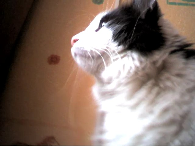 Илья Краснов | Санкт-Петербург