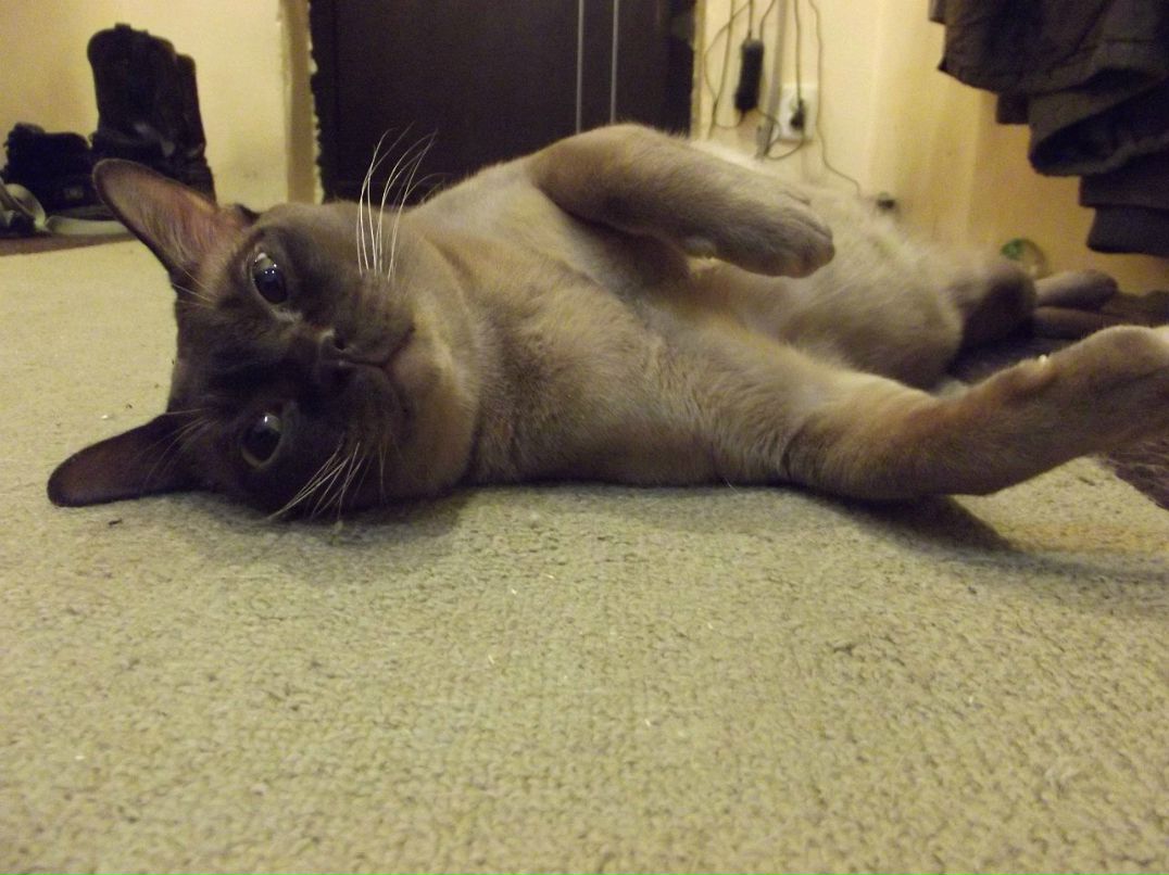 Ростислав Пантюхов | Санкт-Петербург