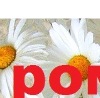 №38 Наташа Котова 01.01: профиль, фото, статус - ВКонтакте