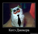 Фотография Жуковского Саши