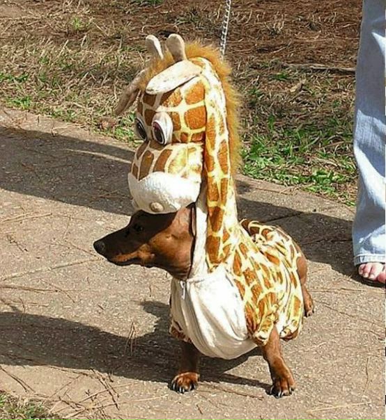 №12, Галина Доронина, 36 лет, Калуга №12, Галина Доронина, 36 лет, Калуга