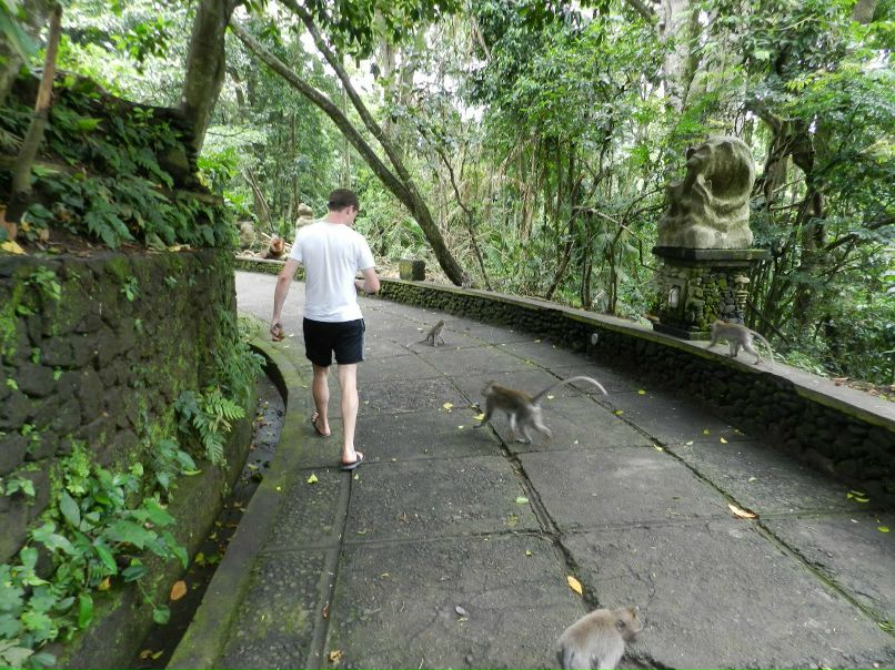 Ринат Шарафеев | Казань