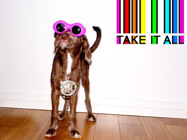 Даниил Гольцов | Владимир