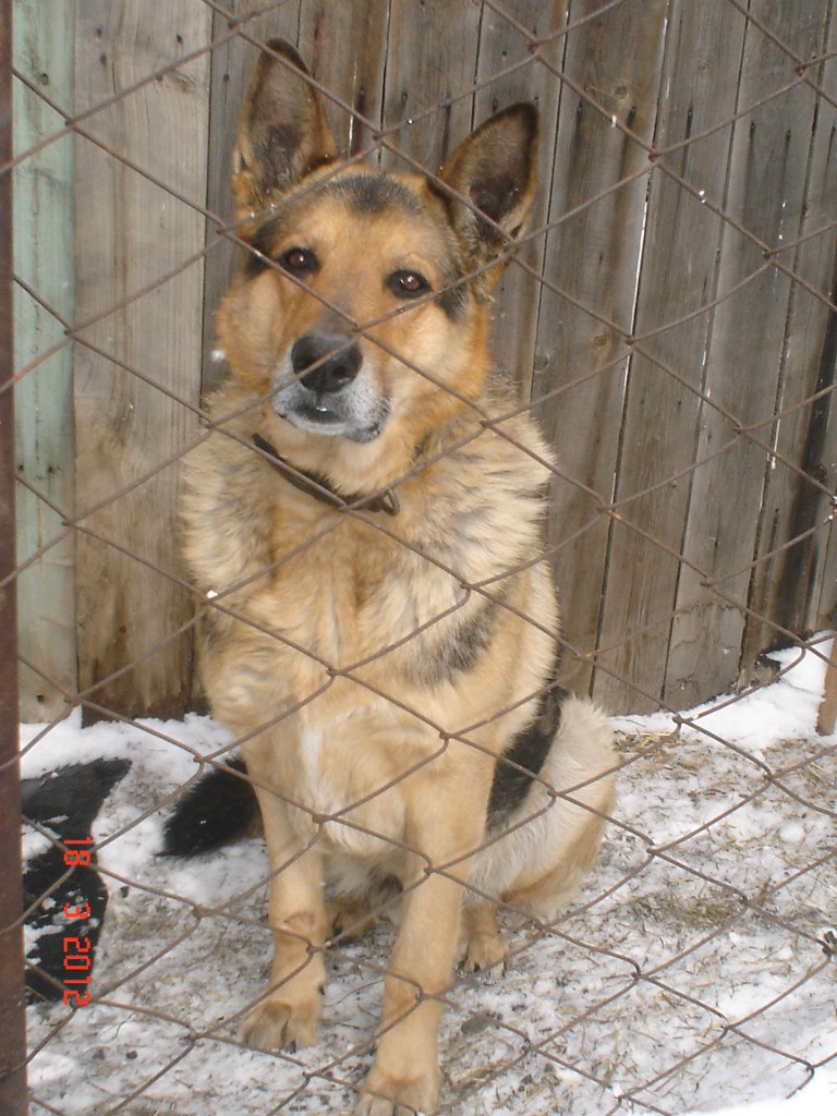 Ксения Фролова | Новосибирск