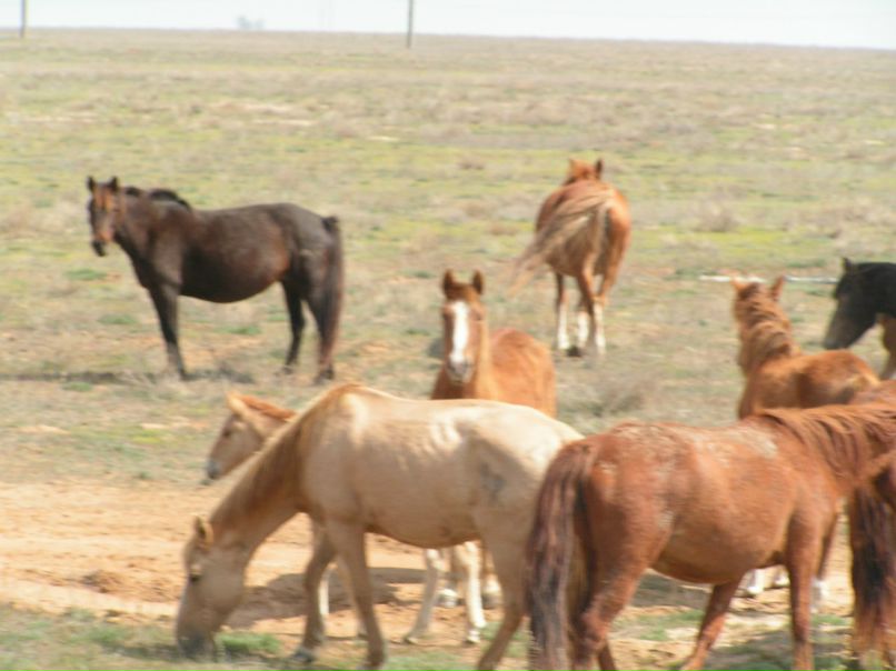 Сергей Кошурин | Вологда