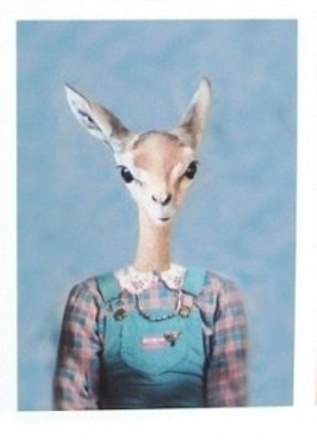 Анна Радужная | 