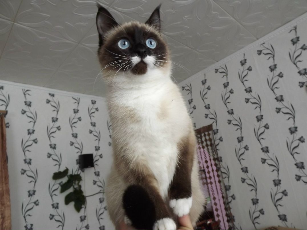 Дима Салюков | 