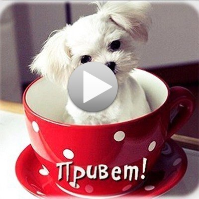 Наталия Миронова | Чебоксары
