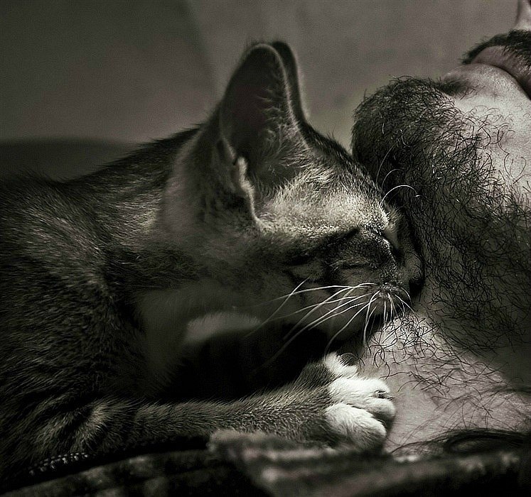 Дарья Зыщук | Брест