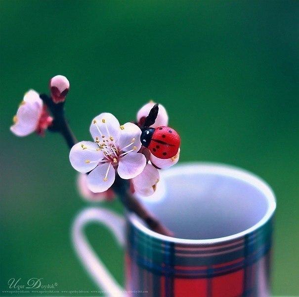 Юлия Иванова | Москва