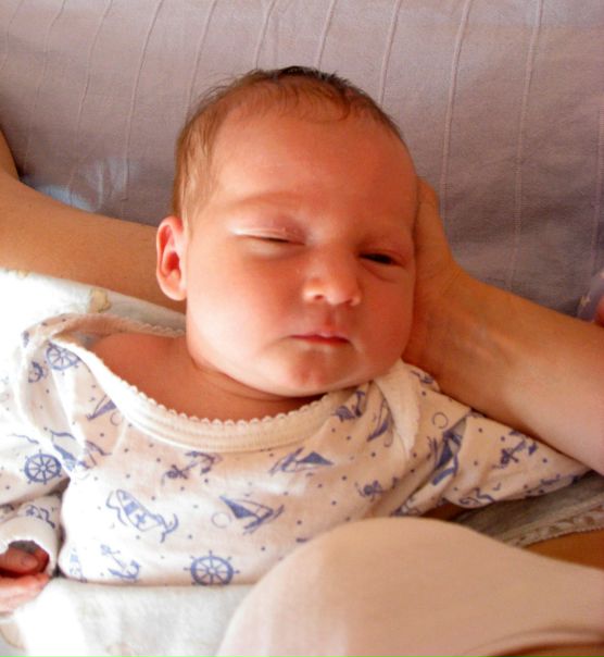 №5, Ярослав Петренко, Санкт-Петербург №5, Ярослав Петренко, Санкт-Петербург