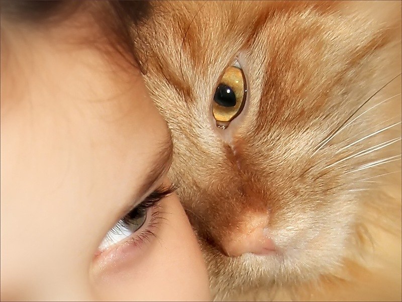 Юлия Обризанова  | Москва