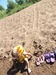 Юлия Тараненко фотография #42
