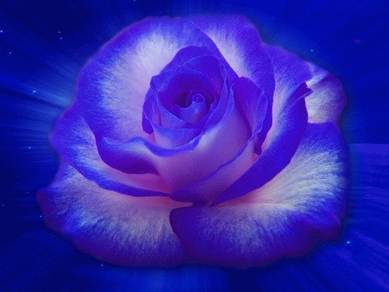 №17, Юлия Миронова, Сиверский, Россия №17, Юлия Миронова, Сиверский, Россия