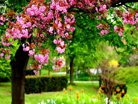 Олександра Алісова •°ღ•✿•ღ°• | 