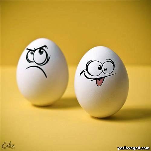 №24, Анна Шевченко, Киев №24, Анна Шевченко, Киев