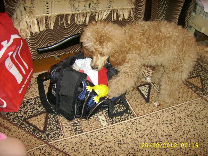 Любовь Полякова | Савинский