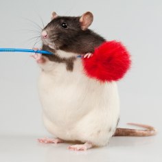 Nabilo o0o0o0o | Харьков