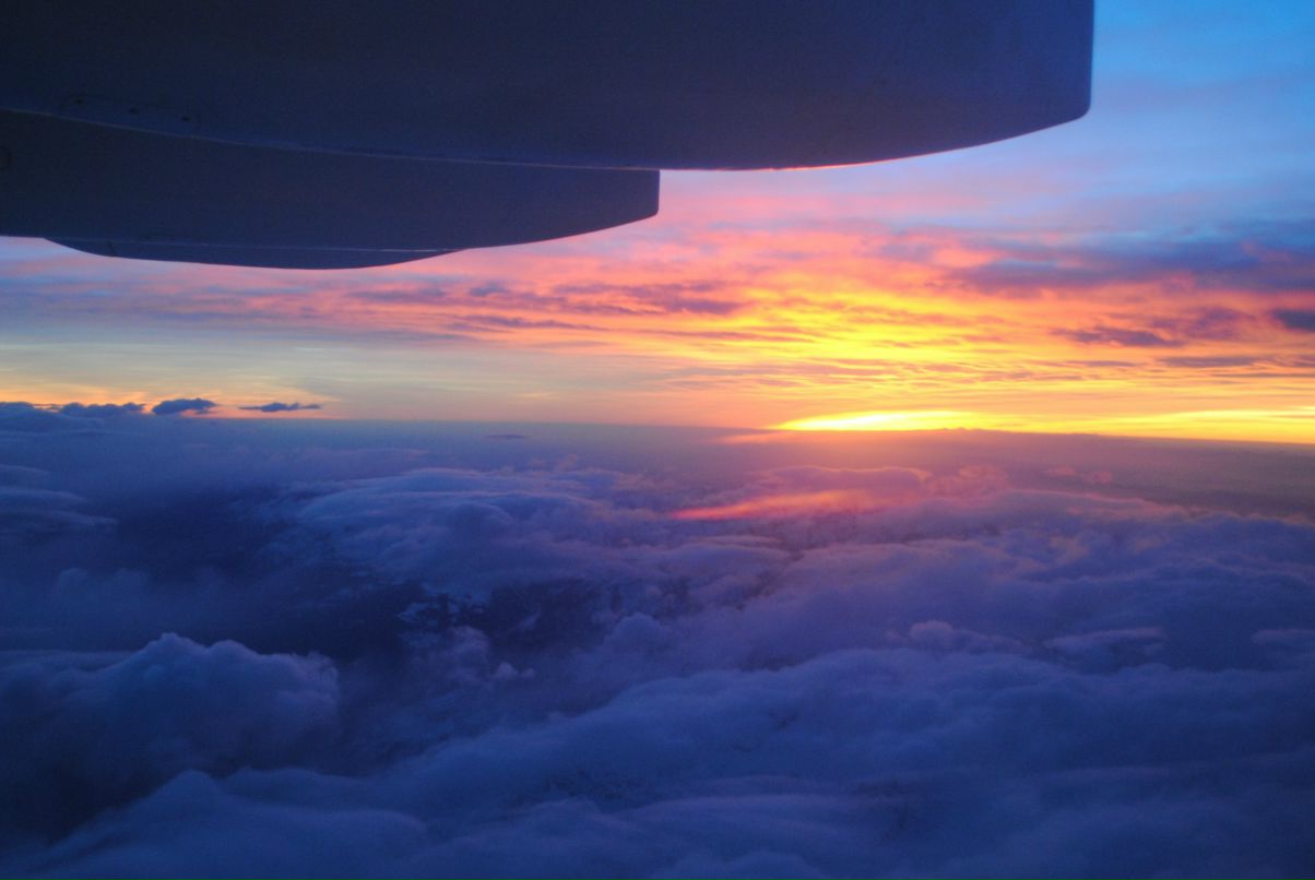 Елена Шибеко | Nice