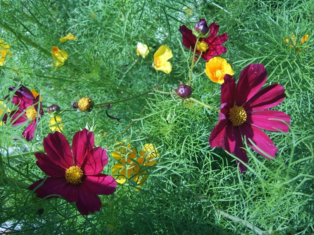 Жанна Шокун | Санкт-Петербург