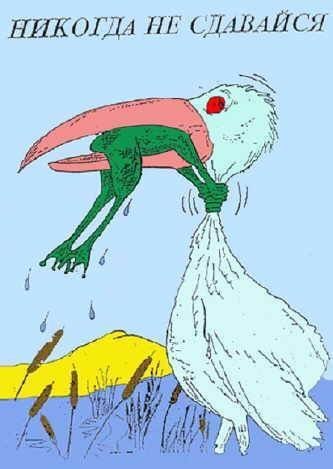 Наталья Кошарина | Москва