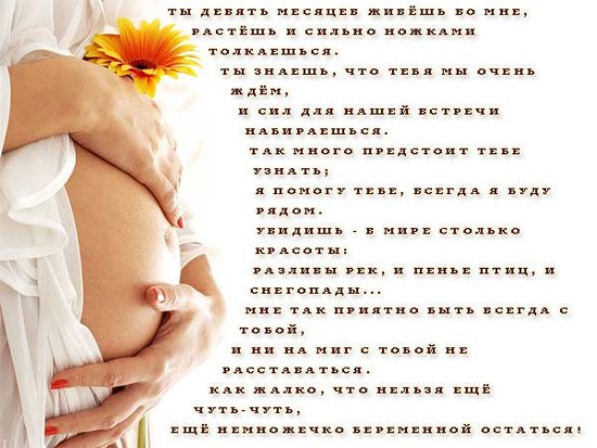 открытки со стихами про пузожителя выбрать как