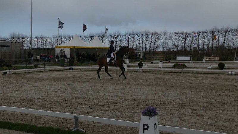 Danielle HEIJKOOP NED Grand Prix CDI Zeeland 2018