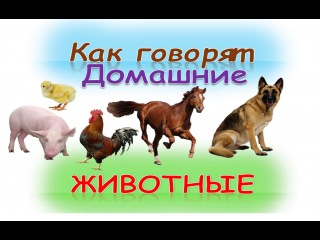 Развивающий мультик для детей “Как говорят домашние животные“(кто как делает)Как говорят животные