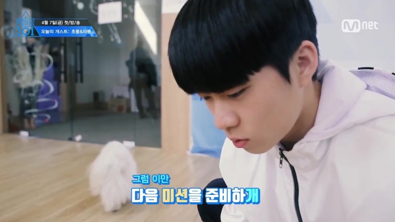 SPECIAL Todays Cast (dog)ㅣ Chorong and Labongs very special