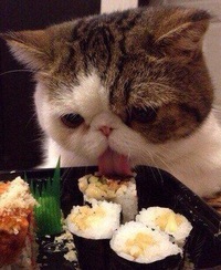 Мария Кузнецова