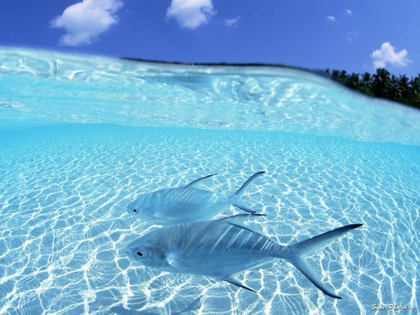 Юляша Овчаренко, Украина, Харьков