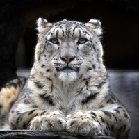 Сергей Лунев
