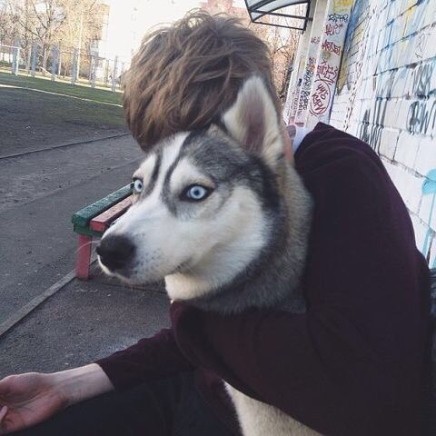 Алина Рябчик, Россия, Москва