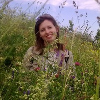 Елена Курбатова