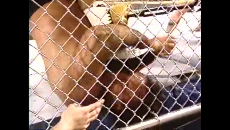 Wrestling Online: wcw 91 02 24 War Games ( Wrestle