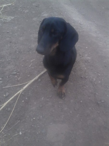 Захар Гревцов, Россия, Оренбург