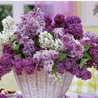 Людмила Харитонова